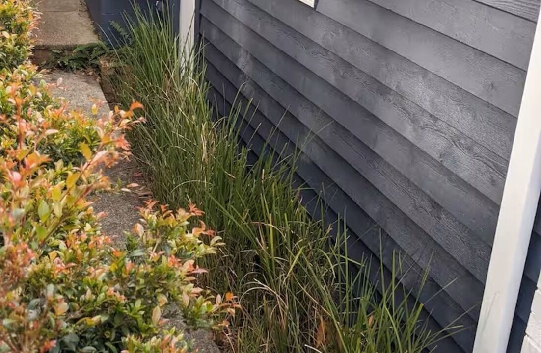 Photo of Outdoor in Brightwaters