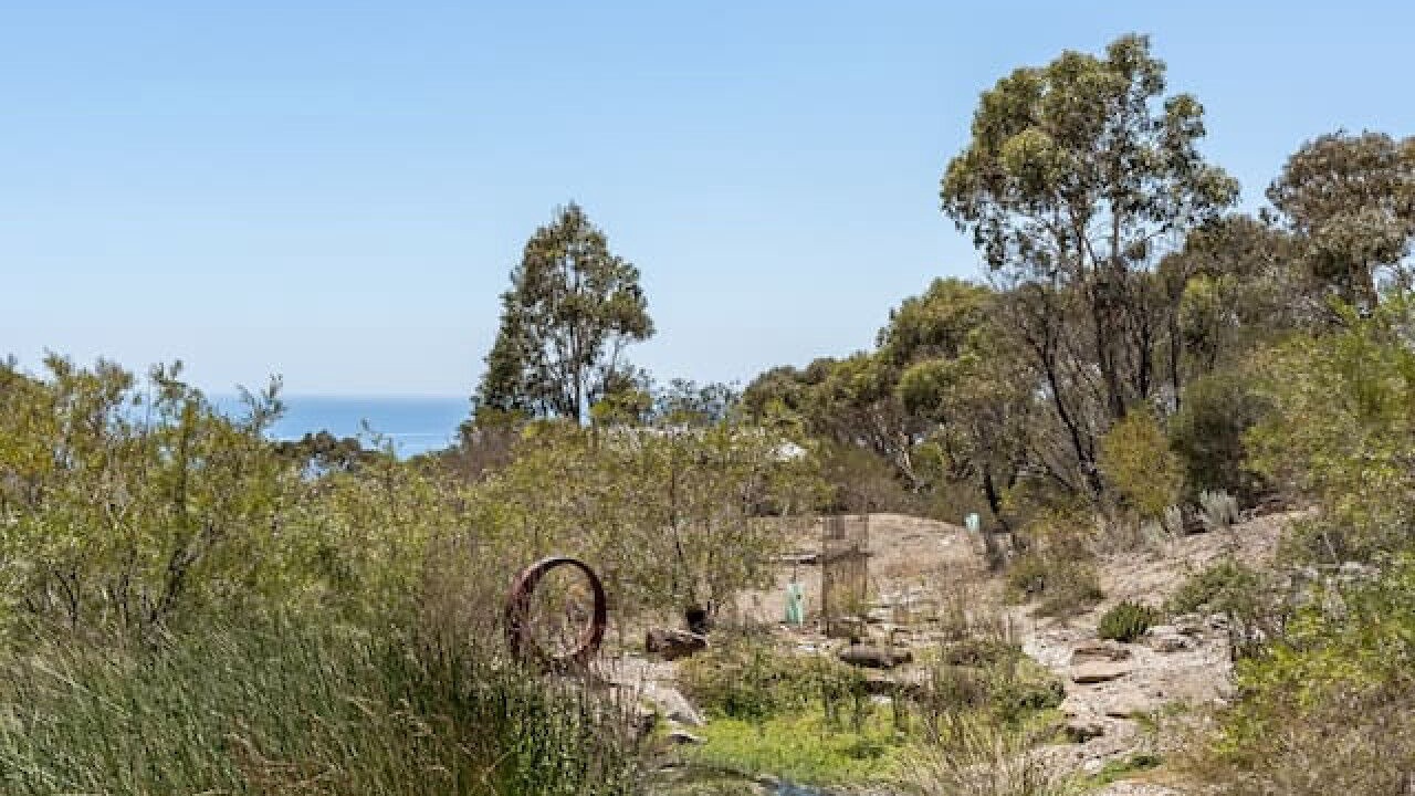Photo of Others in Myponga Beach