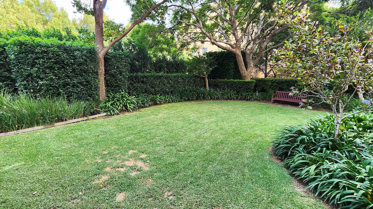 Photo of Outdoor in Redfern