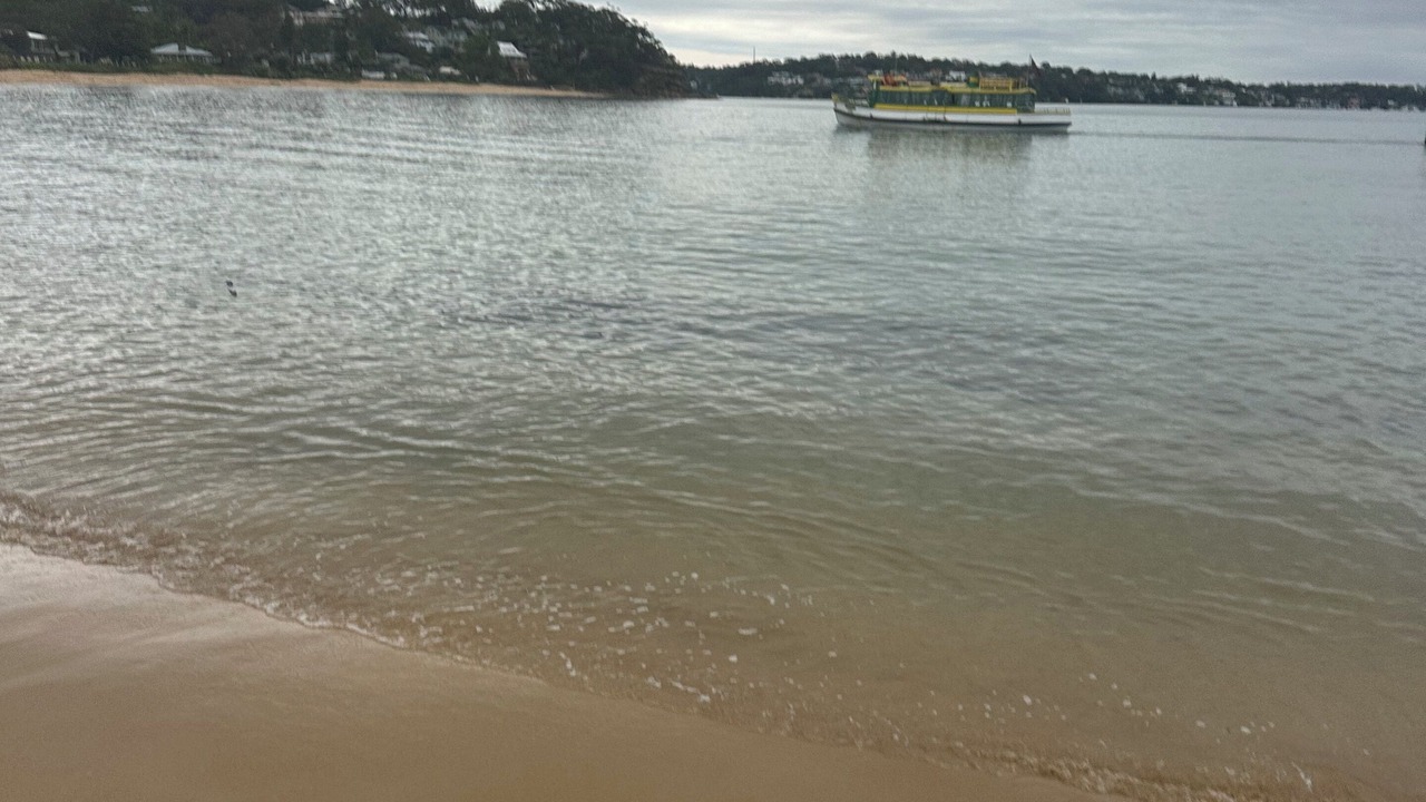 Photo of Others in Bundeena