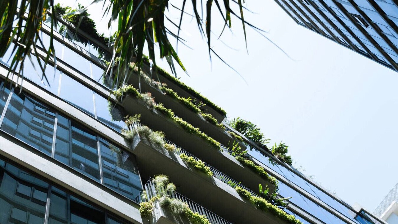 Photo of Outdoor in Newstead