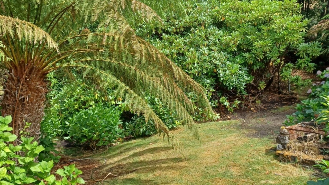 Photo of Outdoor in Judbury