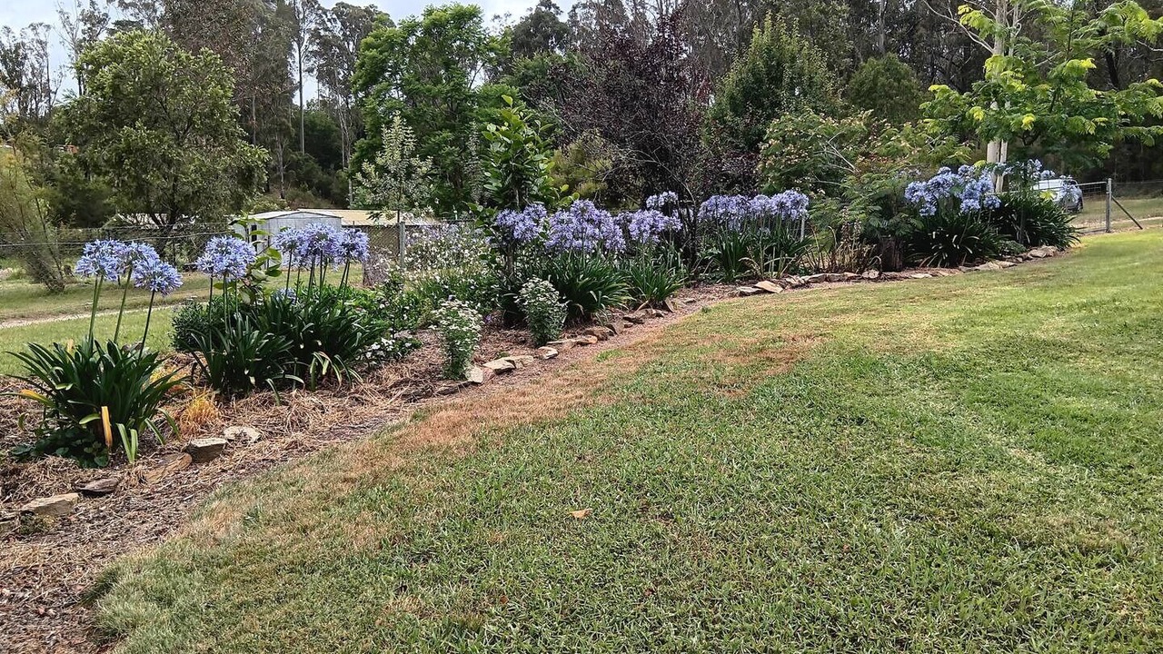 Photo of Outdoor in Mogo