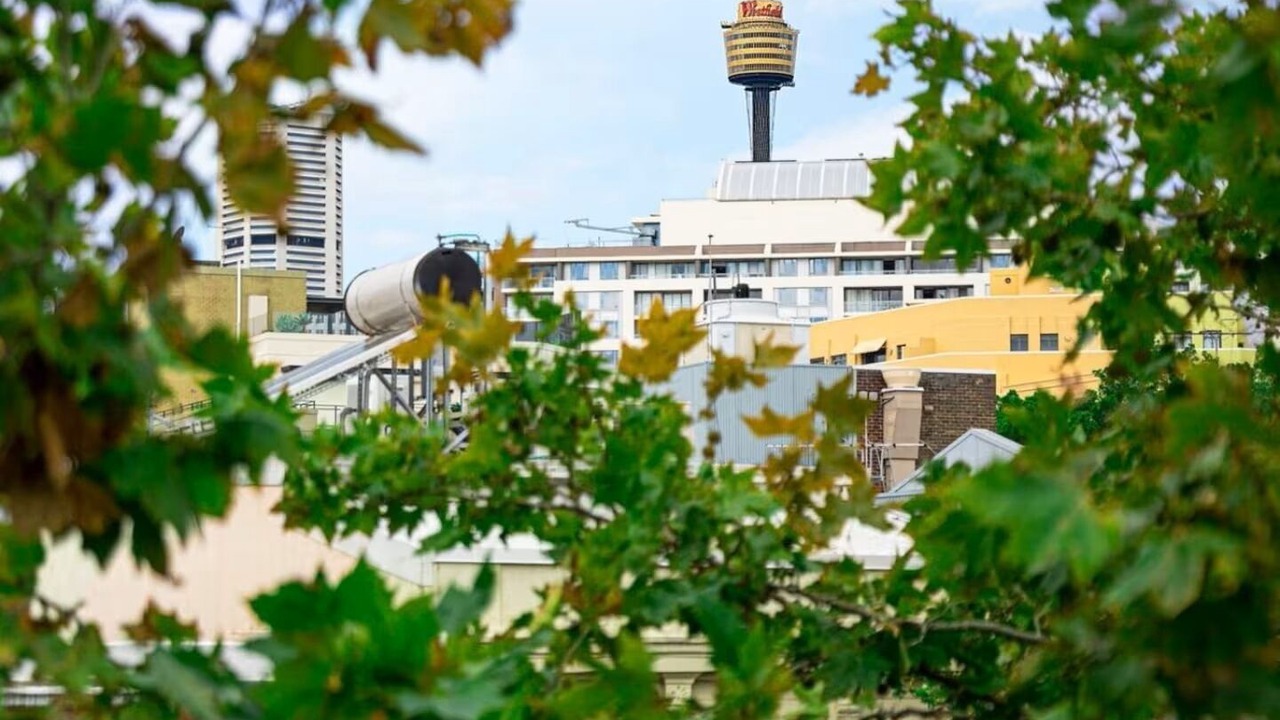 Photo of Others in Pyrmont