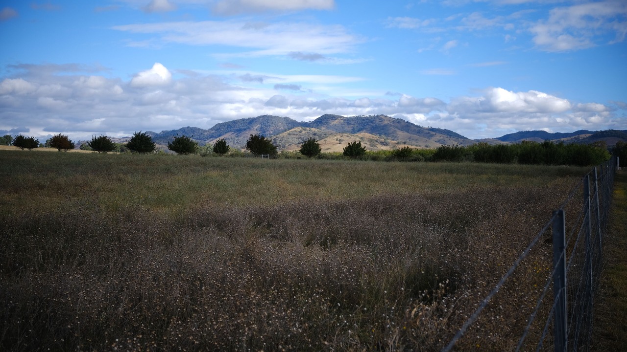 Photo of Others in Mullamuddy