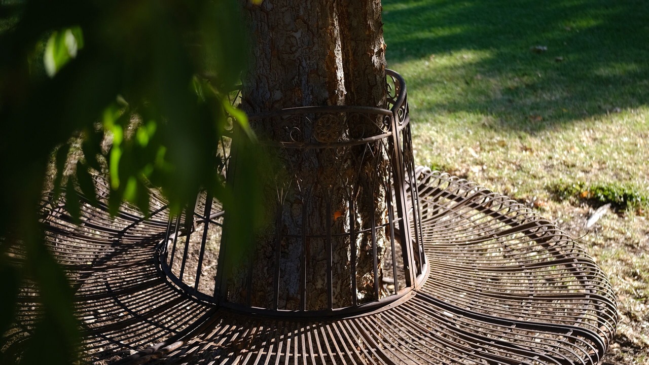 Photo of Outdoor in Mullamuddy