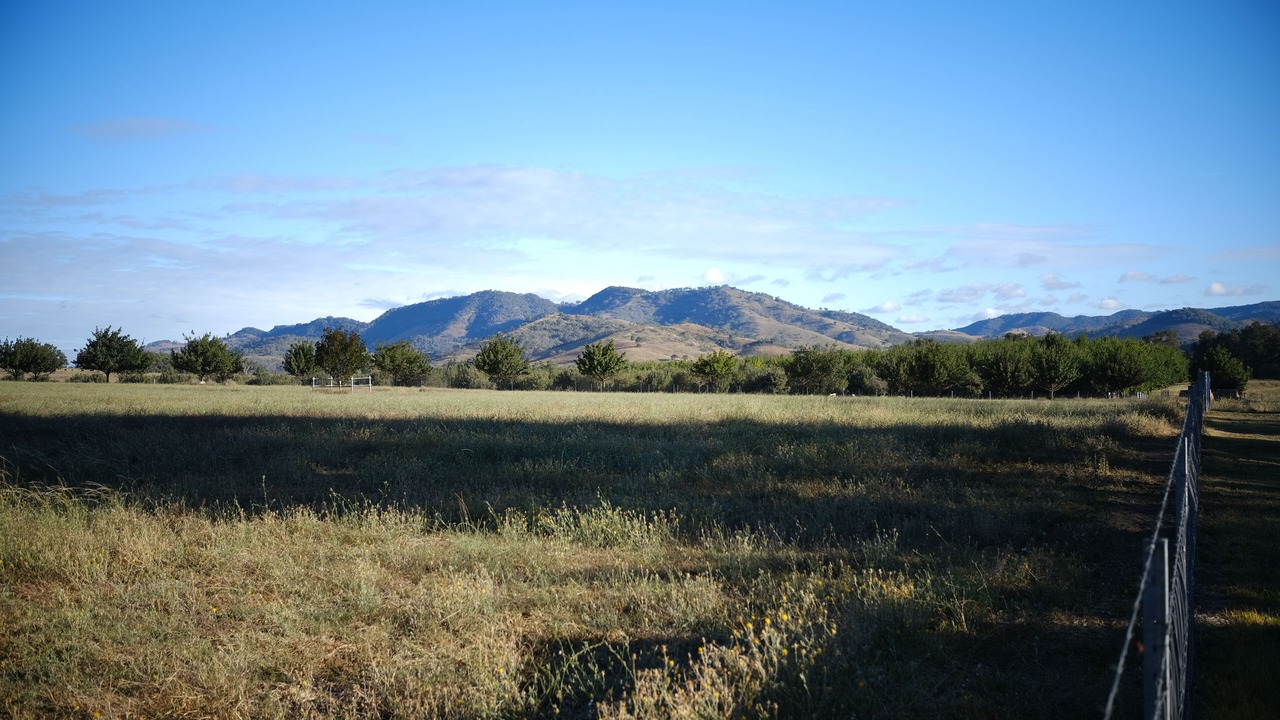 Photo of Others in Mullamuddy