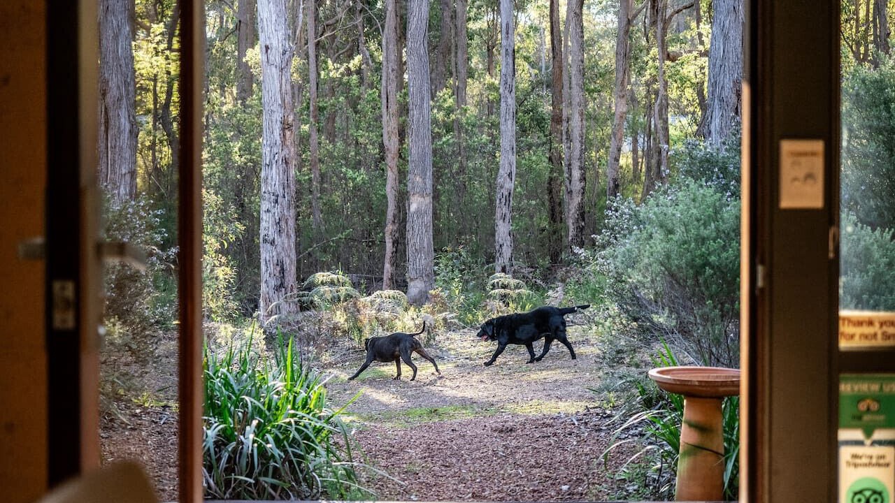 Photo of Others in Rosa Glen