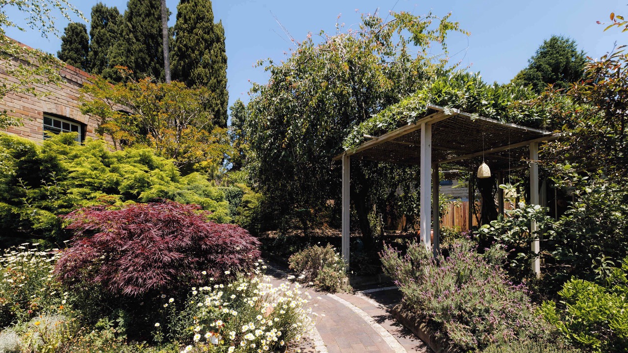 Photo of Others in Katoomba