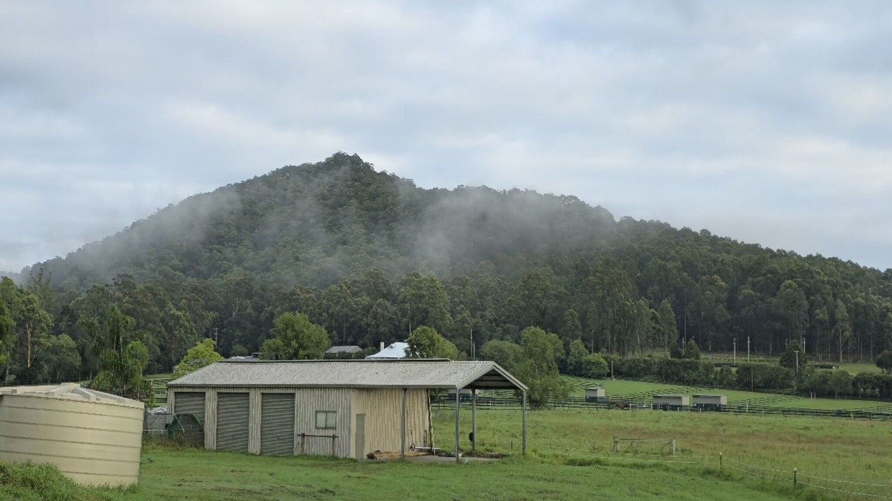 Photo of Outdoor in Jilliby