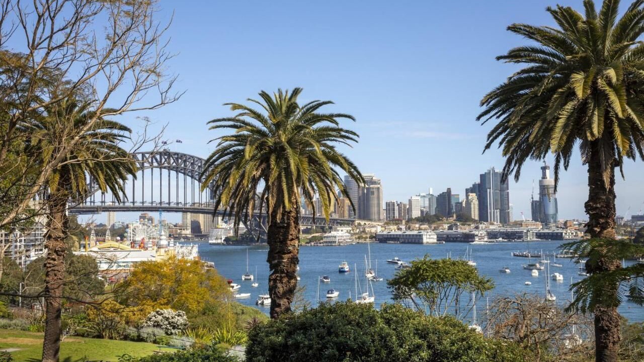 Photo of Others in North Sydney