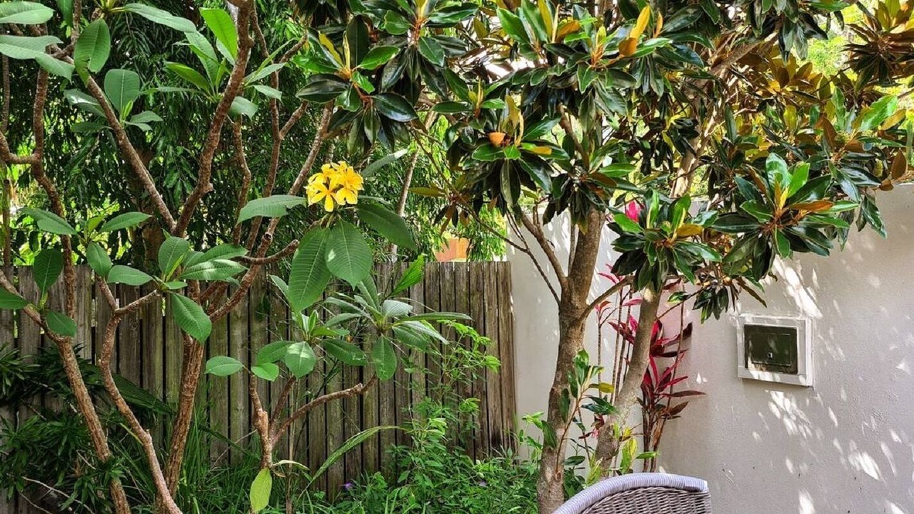 Photo of Outdoor in Mount Coolum