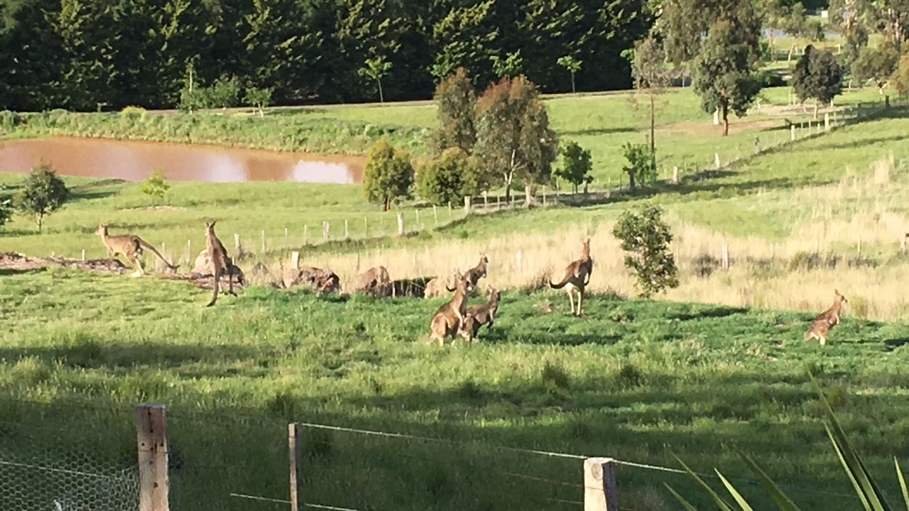 Photo of Others in Gisborne