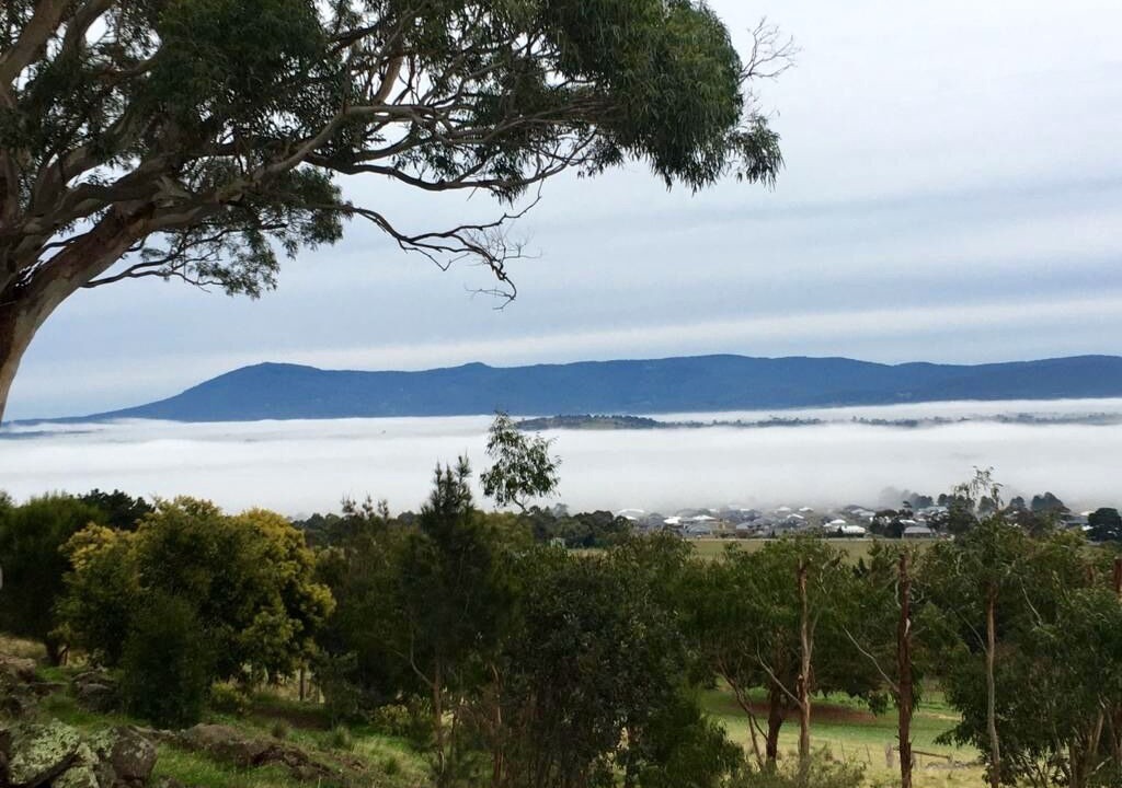 Photo of Others in Gisborne