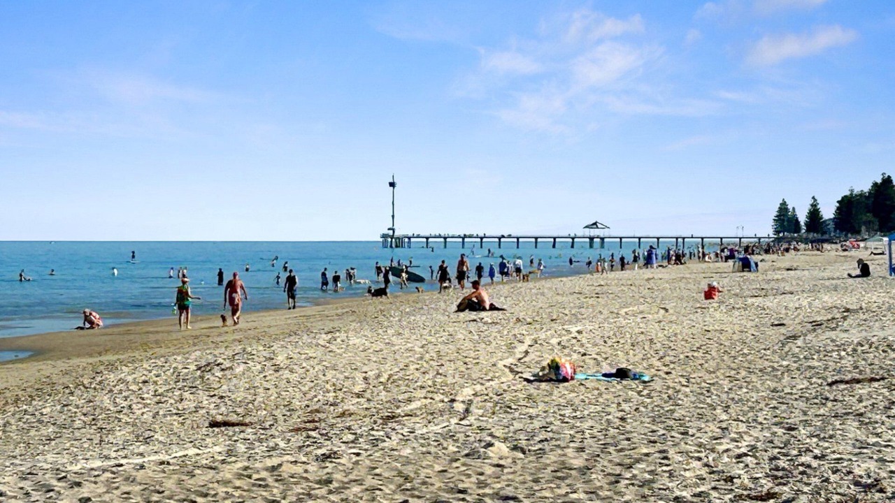 Photo of Others in Seacliff