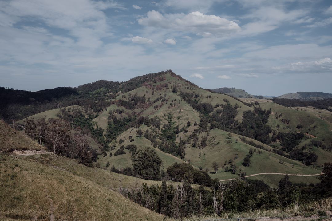 Photo of Others in Carrabolla