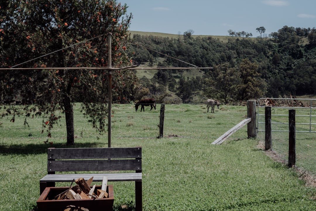 Photo of Others in Carrabolla