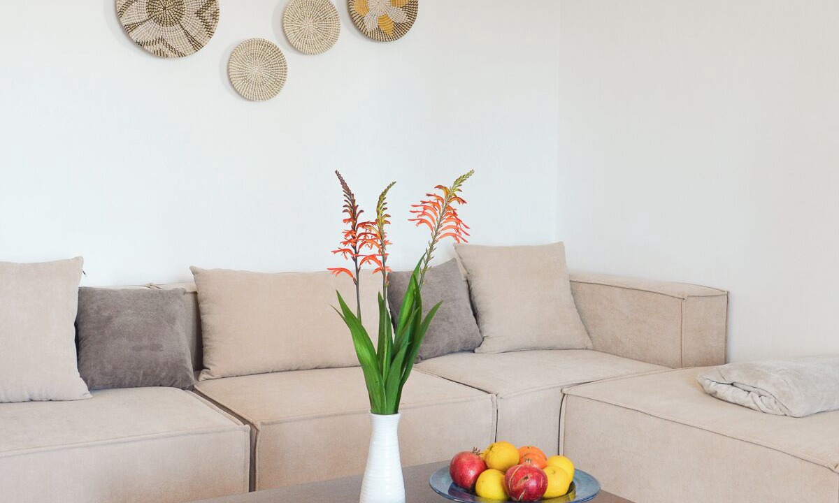 Photo of Livingroom in Drios