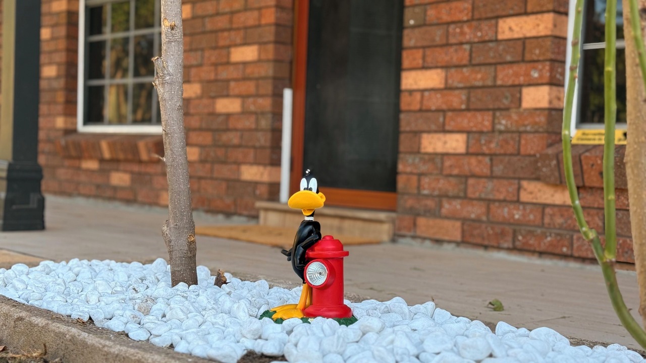 Photo of Outdoor in Cranebrook