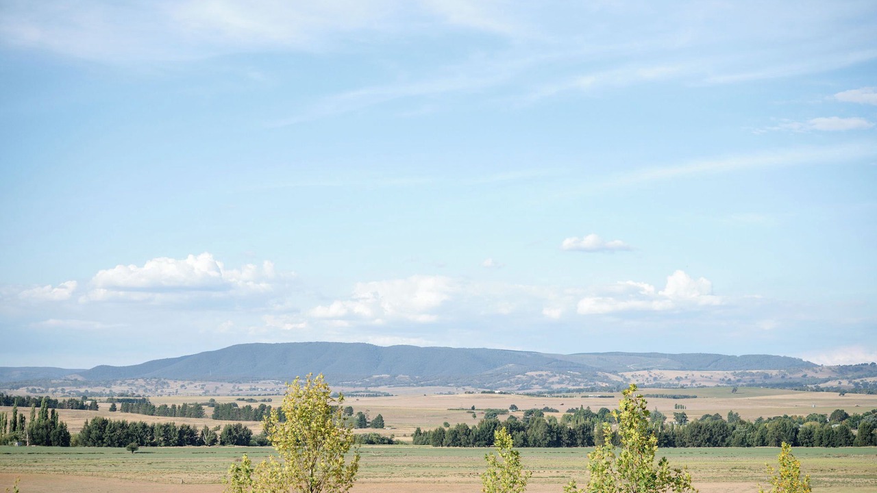 Photo of Others in Brewongle