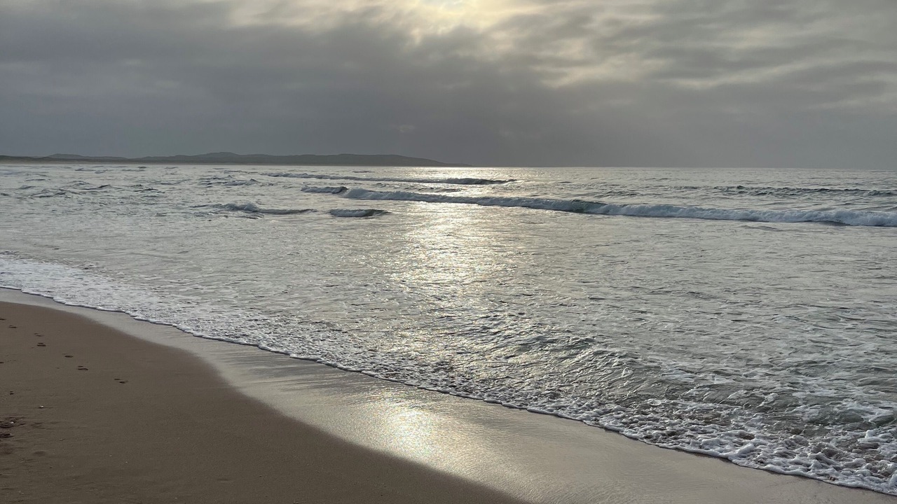 Photo of Others in Cronulla
