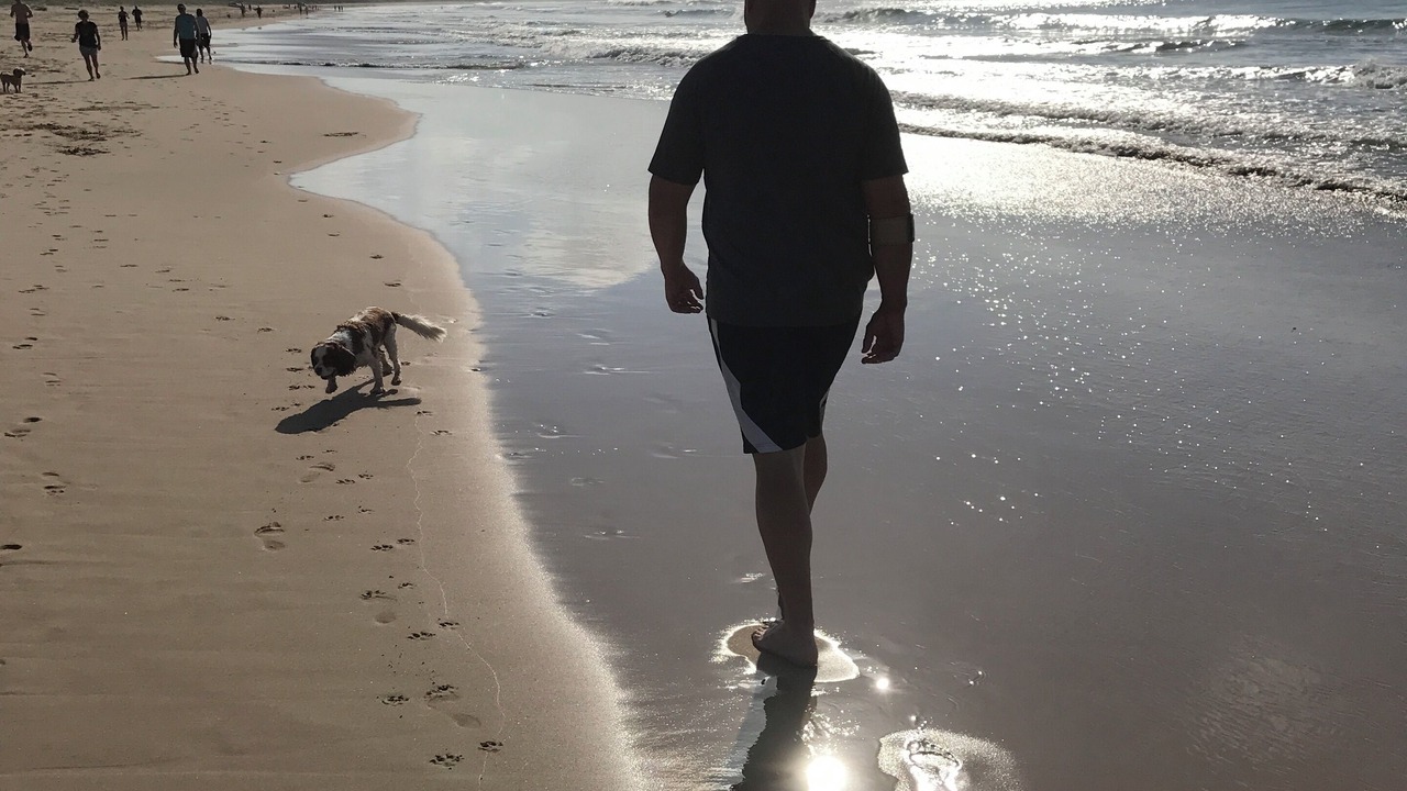 Photo of Others in Cronulla