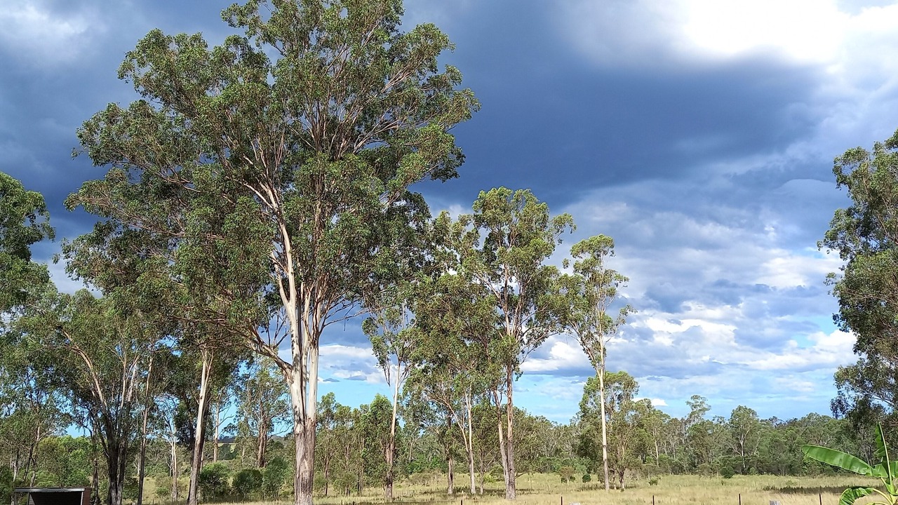 Photo of Others in Bungadoo