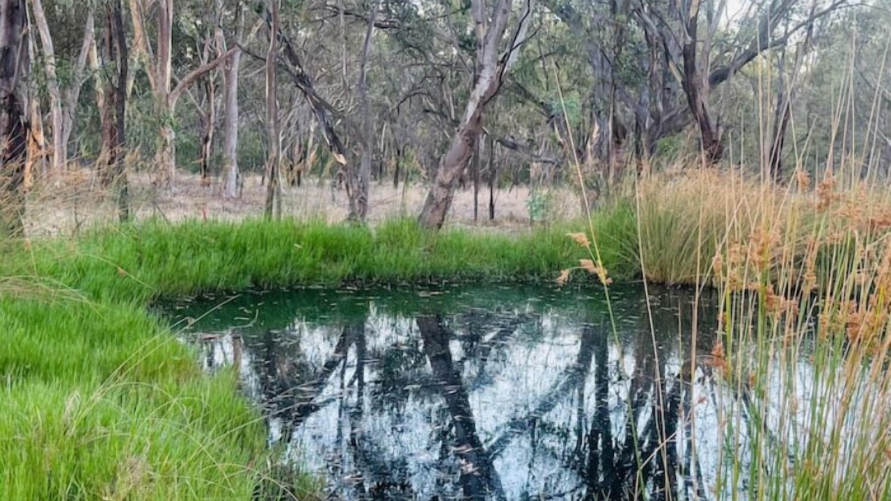 Photo of Others in Glenrowan