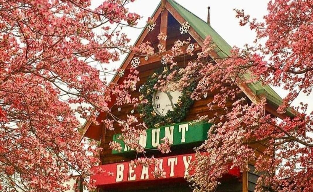 Photo of Others in Mount Beauty