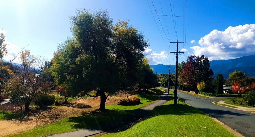 Photo of Others in Mount Beauty