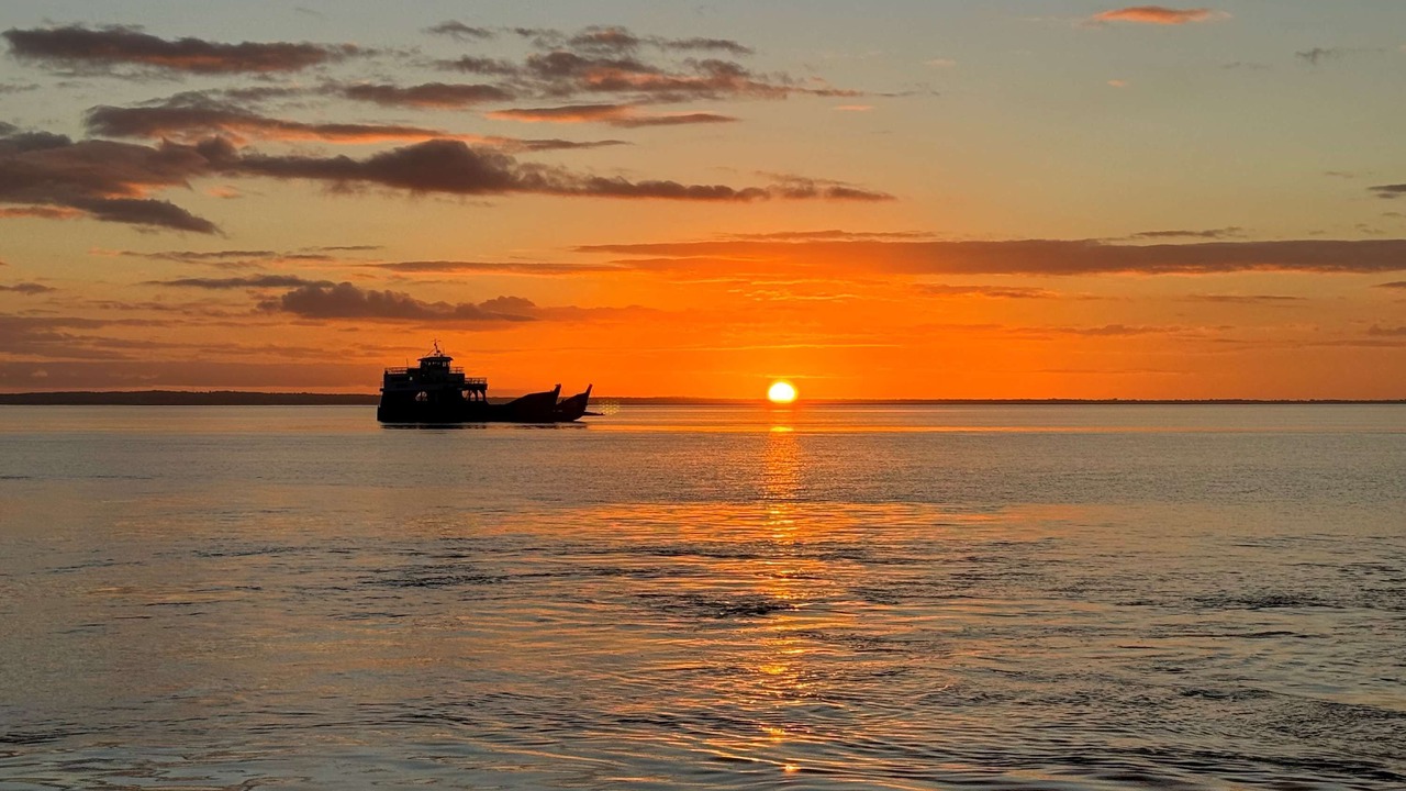 Photo of Others in Kingfisher Bay