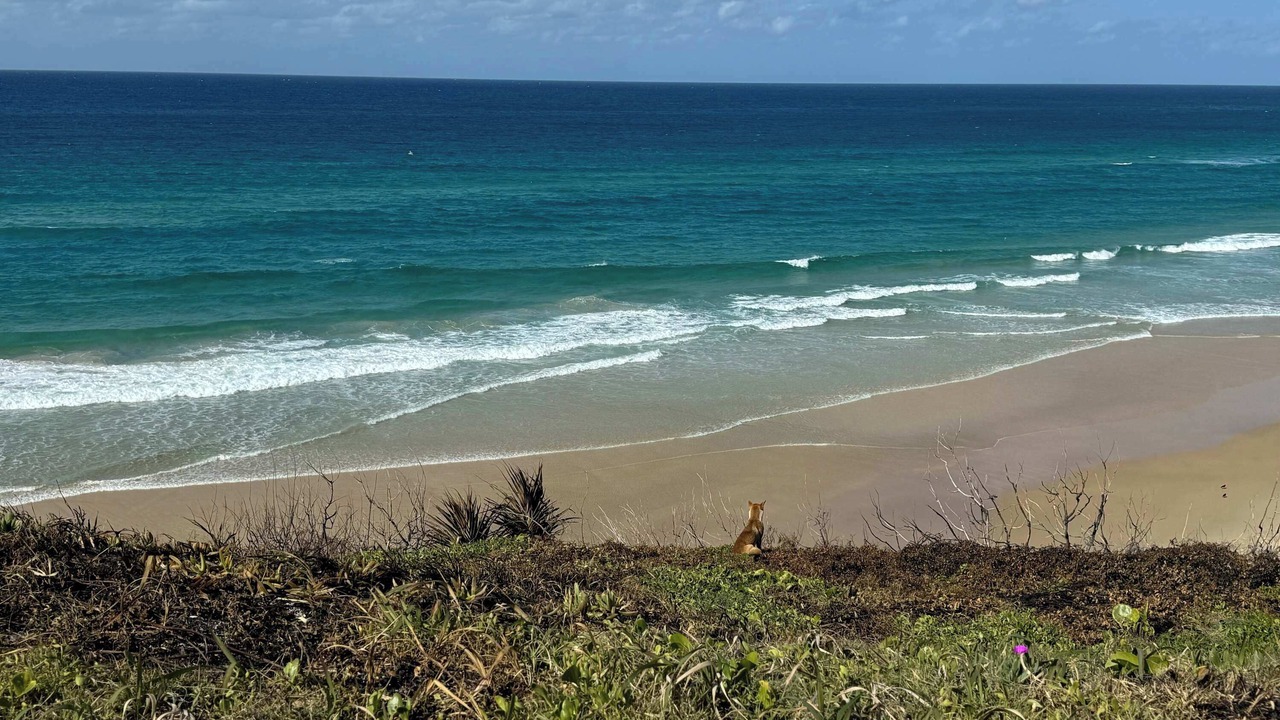 Photo of Others in Kingfisher Bay