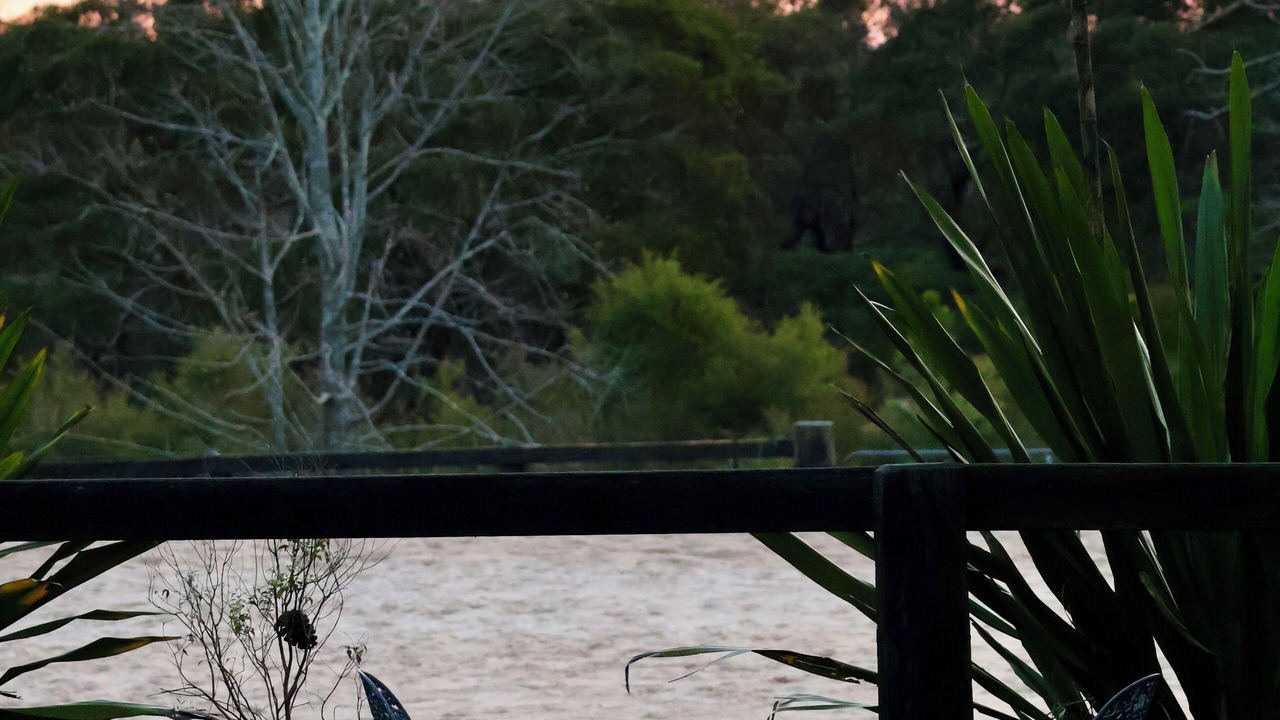 Photo of Outdoor in Somersby