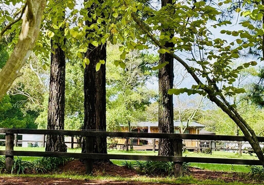 Photo of Outdoor in Somersby