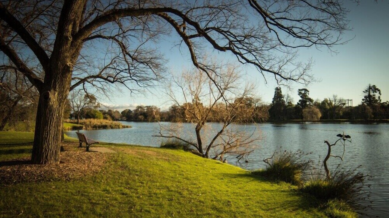 Photo of Outdoor in Flora Hill