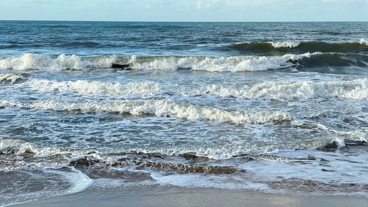 Photo of Others in Moore Park Beach