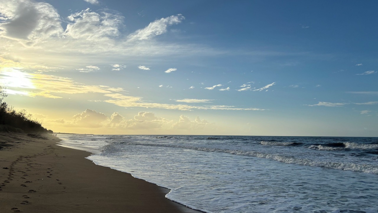 Photo of Others in Moore Park Beach