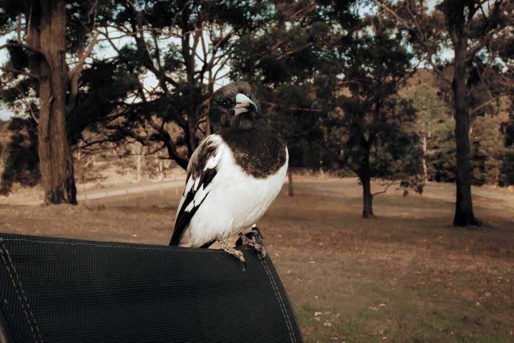 Photo of Others in Rainbow Flat
