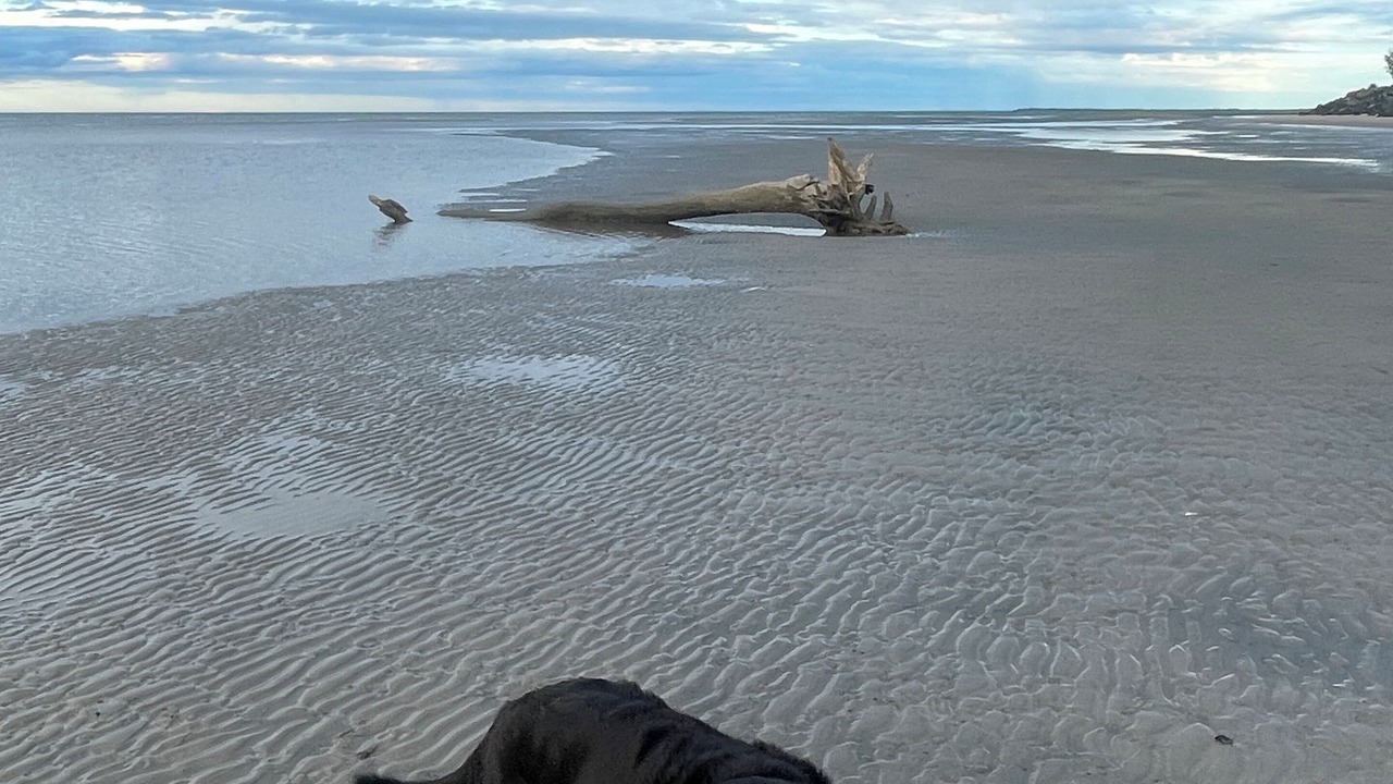 Photo of Others in Toogoom