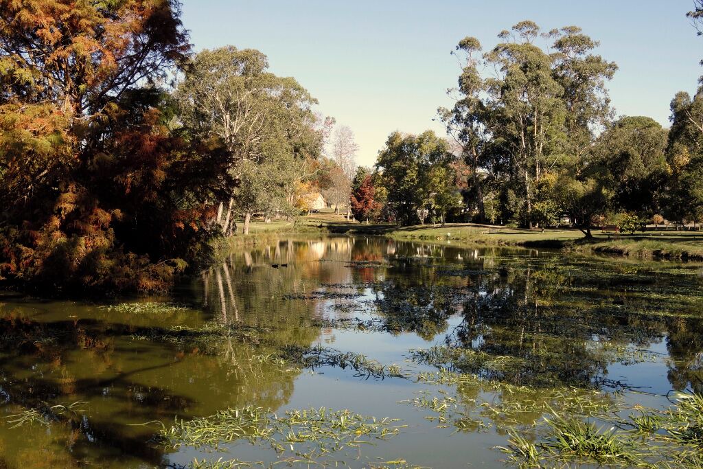 Photo of Others in Trentham