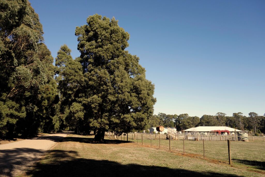 Photo of Others in Trentham