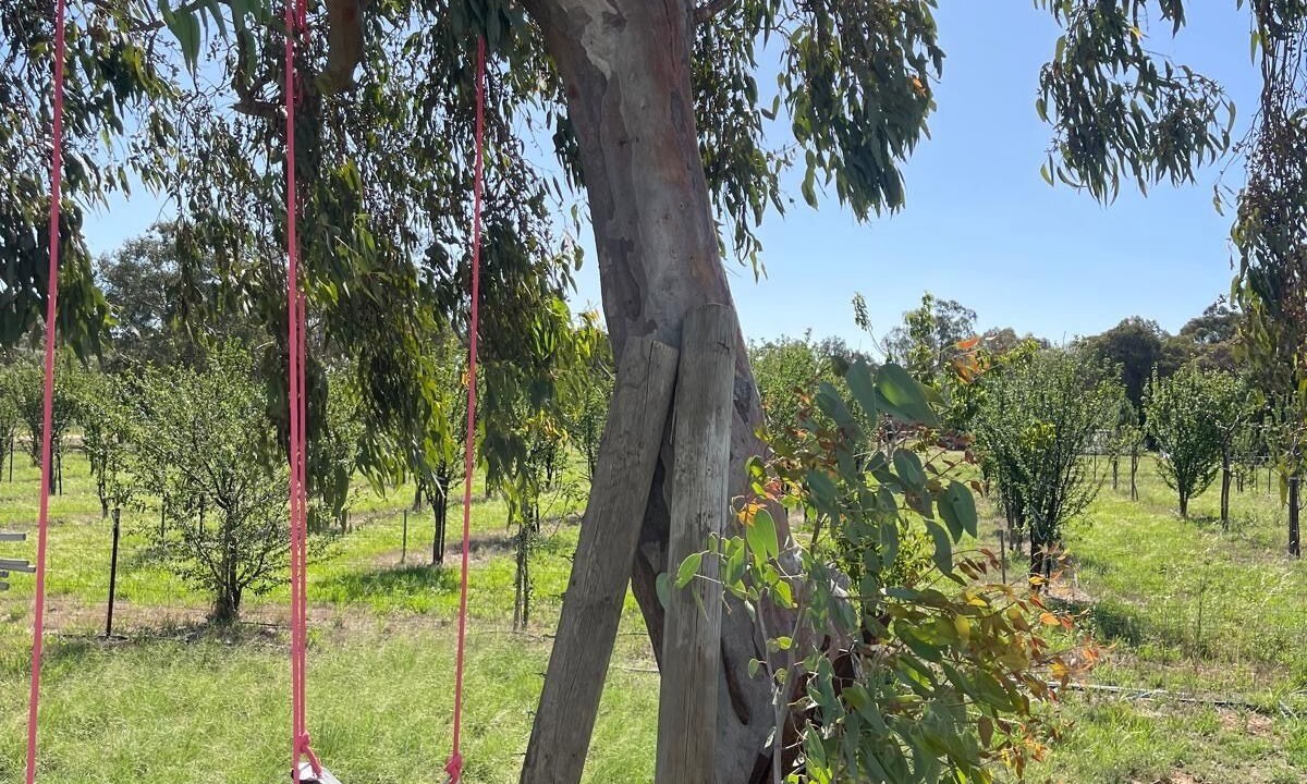 Photo of Others in Bearii