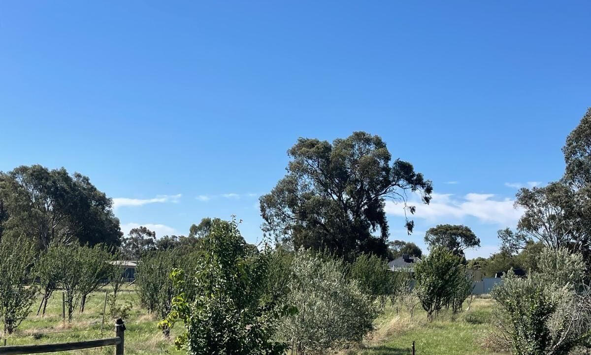 Photo of Others in Bearii