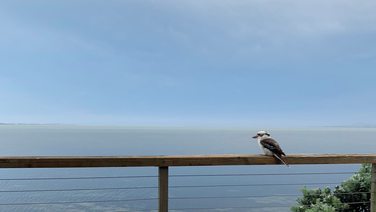 Photo of Patio Balcony in Central Coast