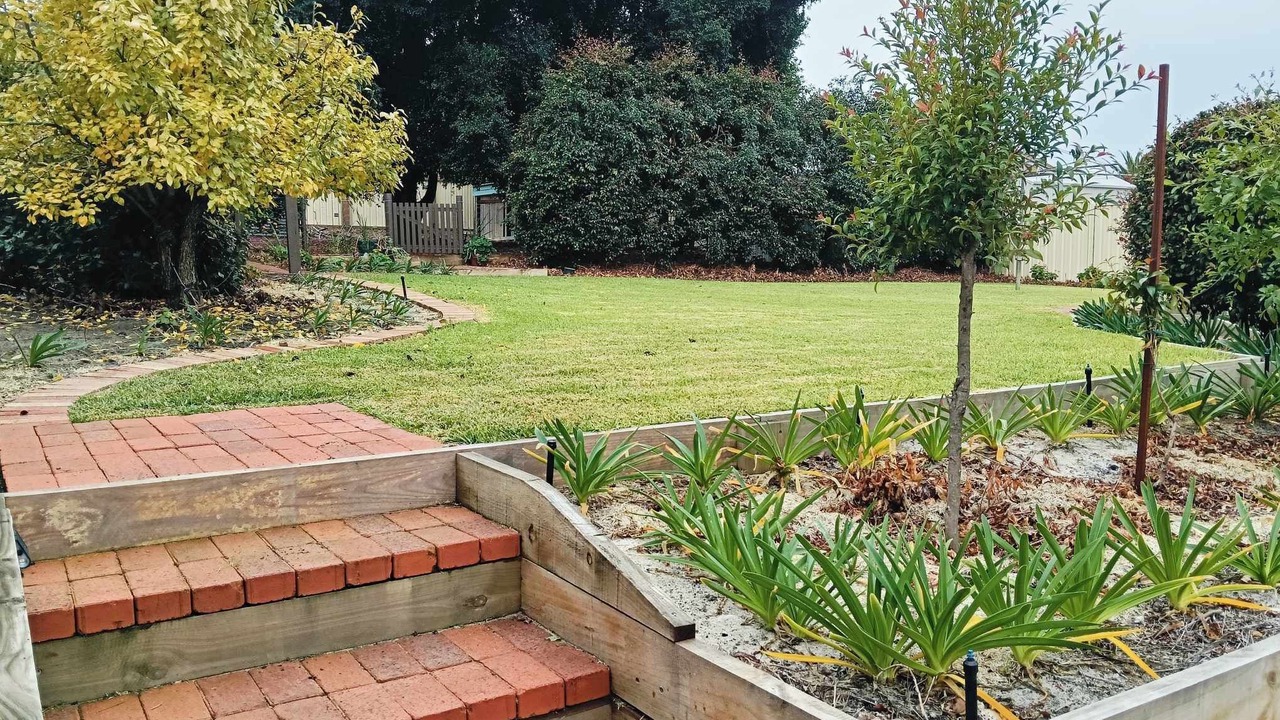 Photo of Outdoor in Collie