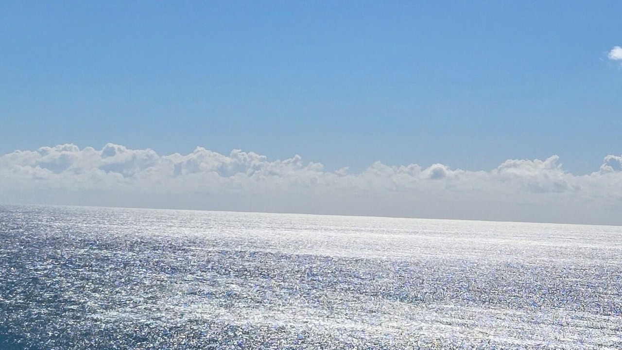 Photo of Others in Palm Beach