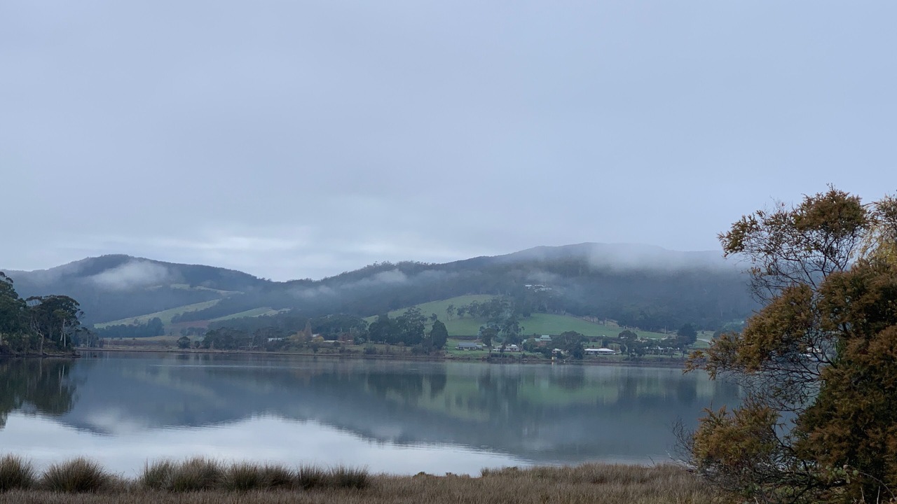 Photo of Others in Cygnet