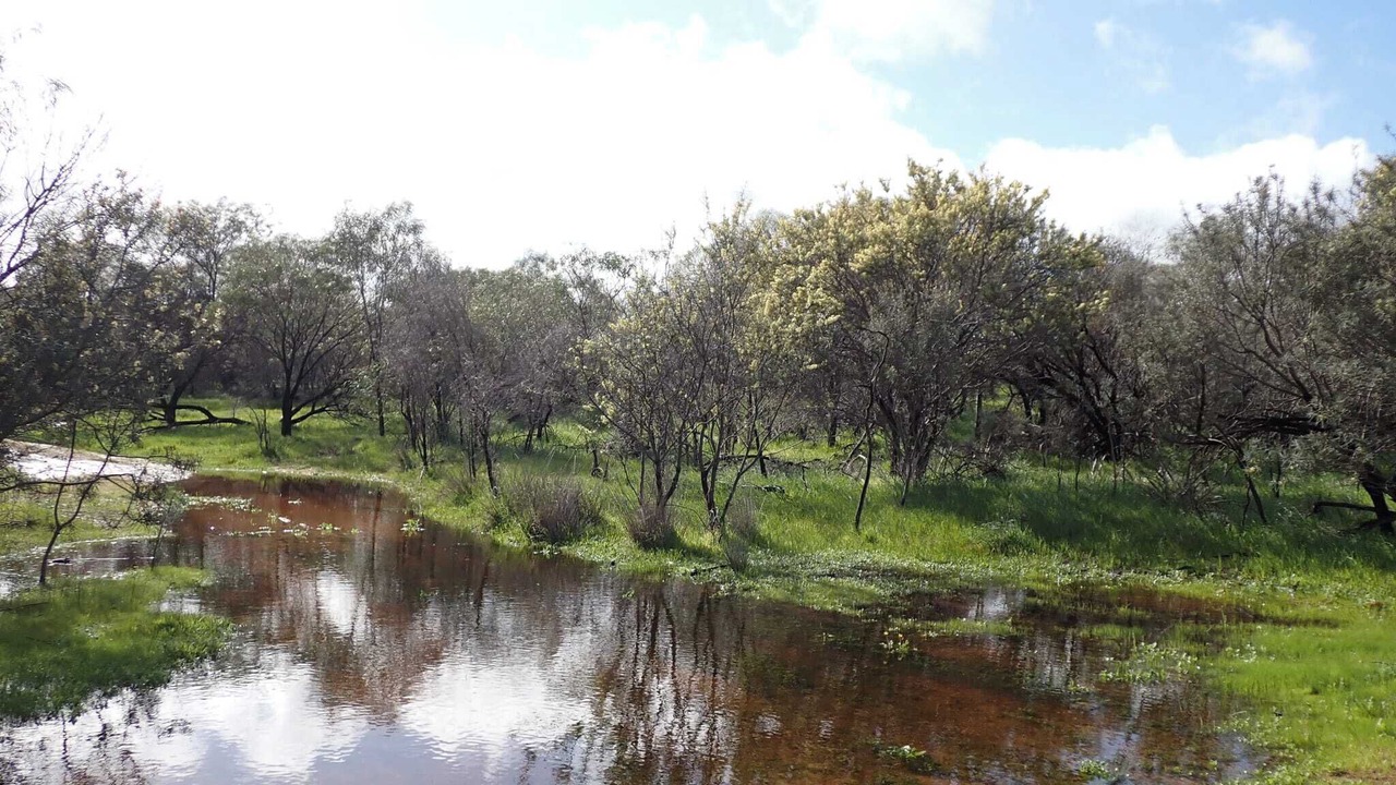 Photo of Others in Merredin