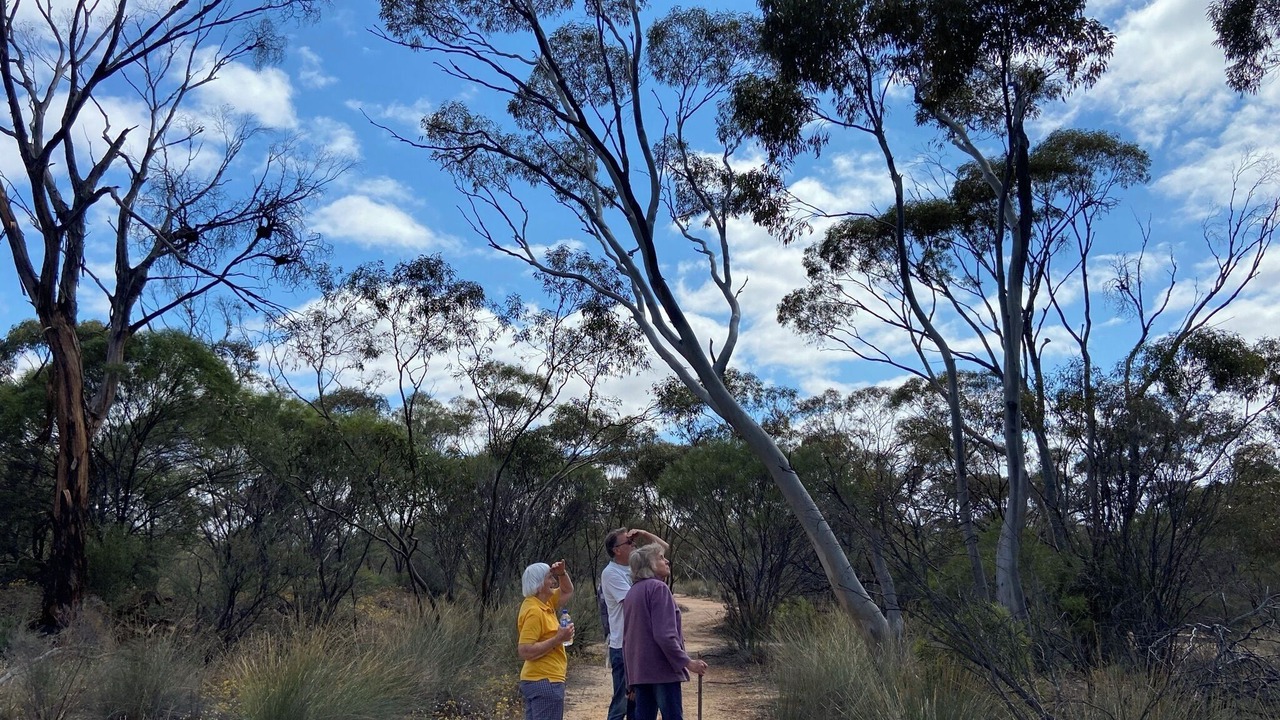 Photo of Others in Merredin
