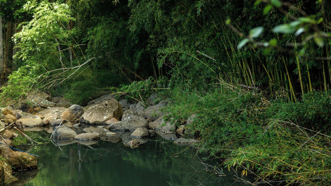 Photo of Others in Upper Coopers Creek